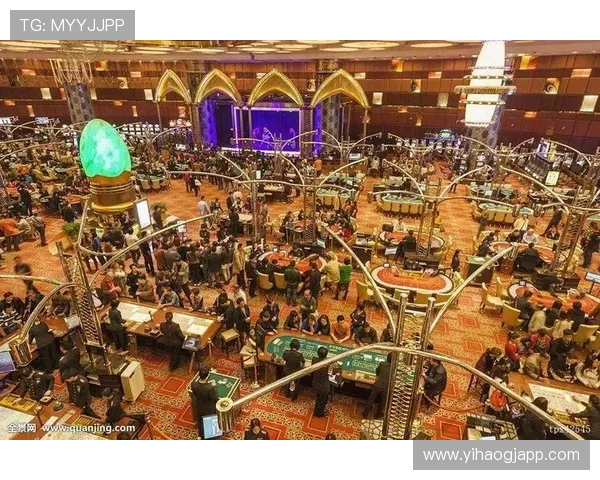 探索壹号娱乐网址在在线博彩行业中的地位与影响