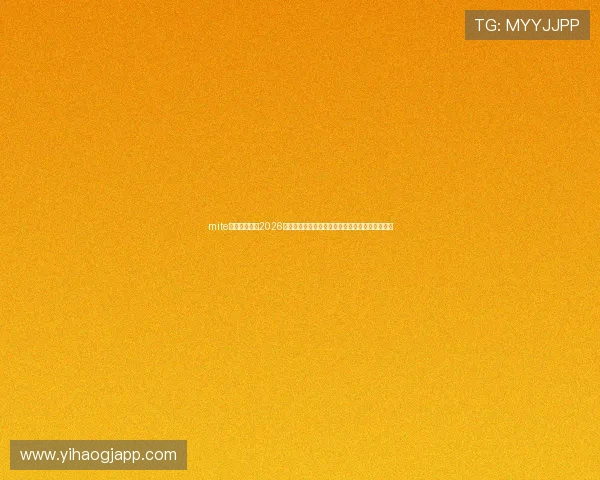 mite娱乐版官网：2026世界杯赛场风云人物盘点与明星球员精彩表现分析